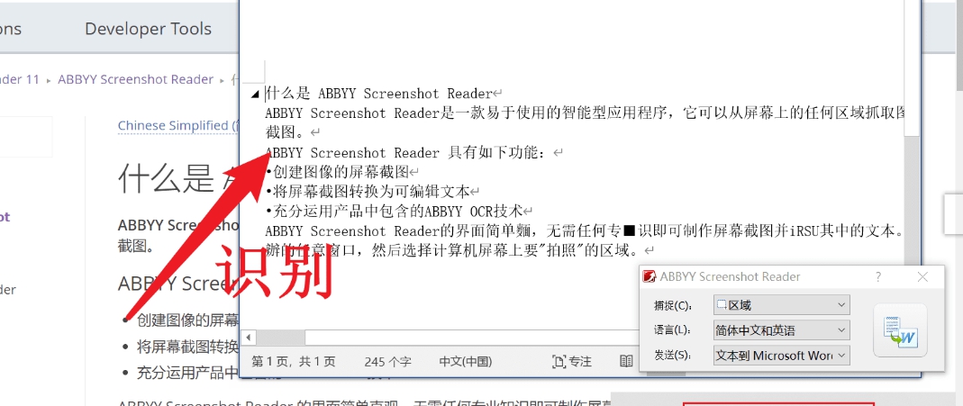 ABBYY Screenshot Reader v9.0.0.136