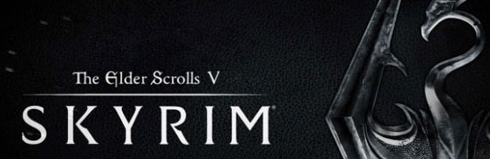 上古卷轴5重制版纯白银龙吊带内衣MOD v1.57