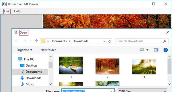 BitRecover Tiff Viewer(TIFF文件查看器) v2.6
