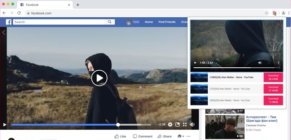 Video Downloader professional插件 v2.0.5