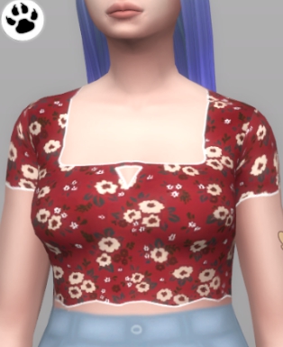 模拟人生4美丽花边印花上衣MOD v2.50