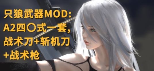 只狼影逝二度A2四〇式武器一套MOD v3.49