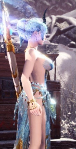 怪物猎人世界冰原高开叉绚辉龙长袍MOD v1.91