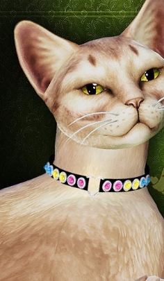 模拟人生4猫咪彩虹爱心项链MOD v1.13
