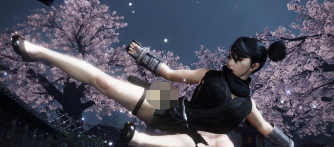 仁王2芭蕾舞平底鞋MOD v1.96