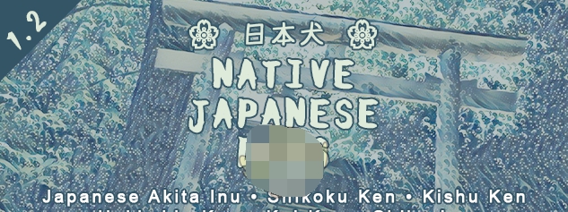 环世界日本小狗v1.2MOD v3.44
