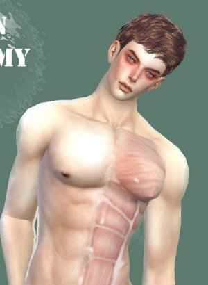 模拟人生4人体解剖皮肤MOD v1.5