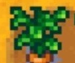 星露谷物语可种植胡萝卜MOD v1.6
