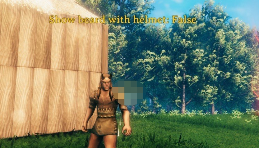 英灵神殿头发头盔和胡须显示切换功能MOD v0.2.5