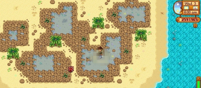 星露谷物语沙滩清洁和水域行走MOD v1.6