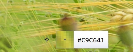 获取并复制屏幕颜色值Instant Eyedropper v2.0.6