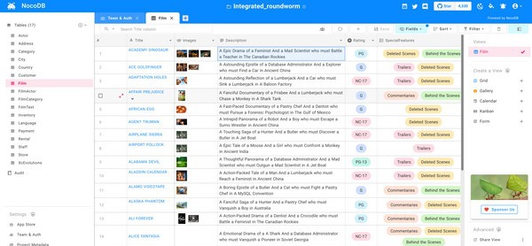 NocoDB(数据库转电子表格) v0.13
