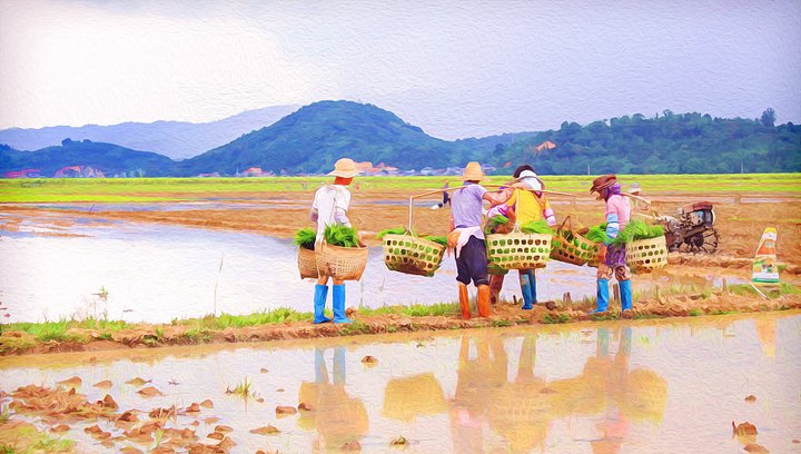 Topaz Simplify(PS水彩优化滤镜) v4.1.6