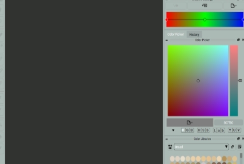 CODIJY Colorizer Pro(照片着色软件) v4.0.3