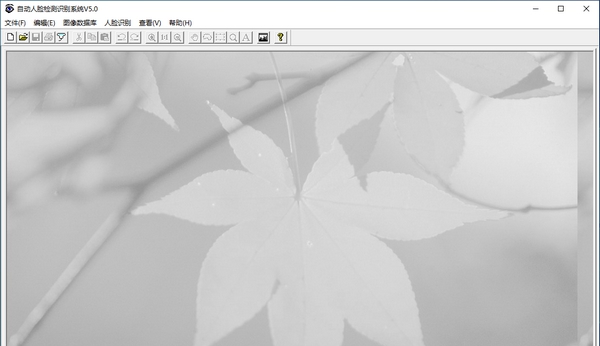 自动人脸检测识别系统 v5.6