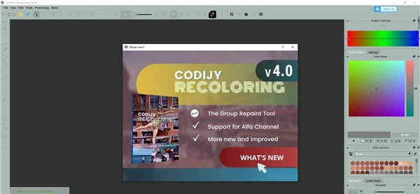 CODIJY Recoloring(照片着色软件) v4.0.4