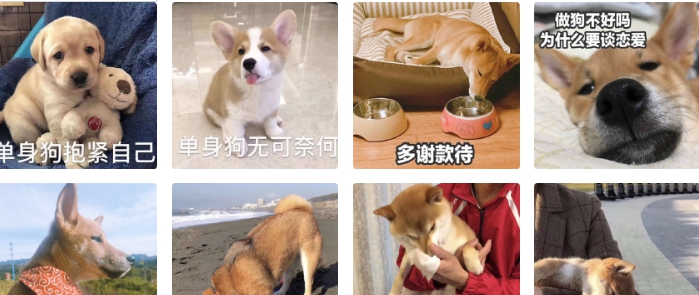 七夕头像单身狗头像素材 v1.7