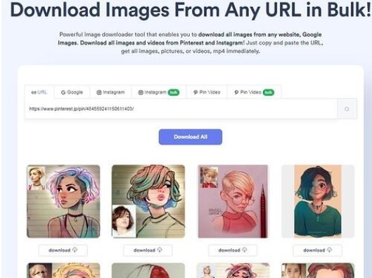 Imgdownloader(图片视频批量下载工具) v2.0.5