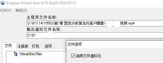 Enigma Virtual虚拟打包器 v9.74