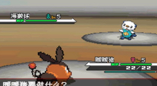 口袋妖怪黑白nds文件 v1.9