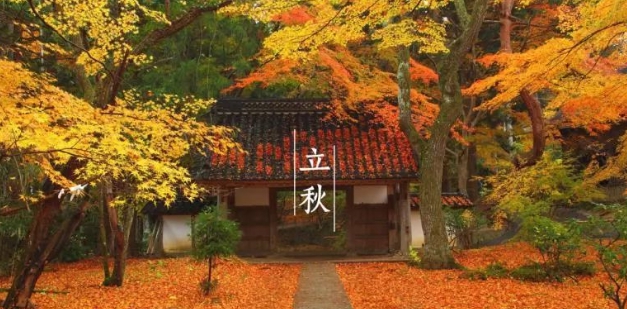 立秋素材图片大全2021 v1.10