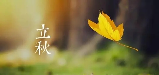 2021立秋朋友祝福文案精选 v1.6