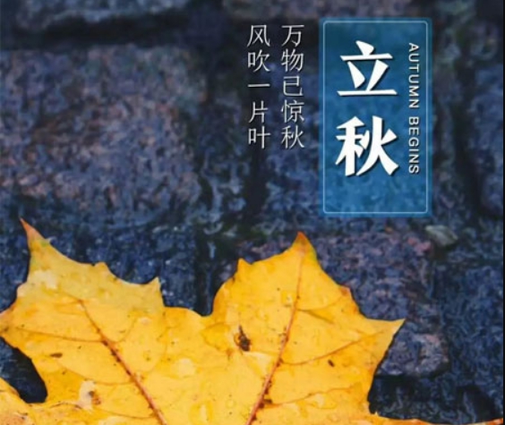 立秋节气发朋友圈图片 v1.8