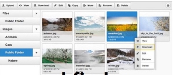 ckfinder(ajax文件管理器) v3.5.1.7