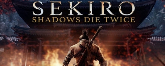 只狼影逝二度FGO贞德alter替换狼外观MOD v3.75