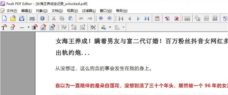 Foxit PDF编辑器 v2.21
