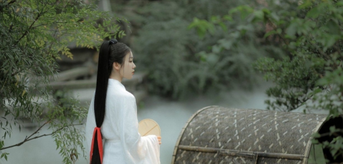 汉服视频下载器(hanfugui) v1.8