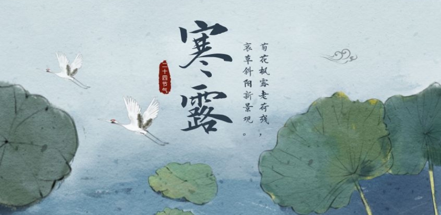 寒露图片大全大图 v1.13