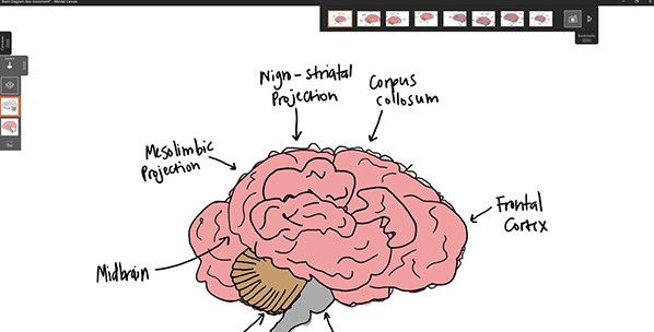 Mental Canvas(3D绘画软件) v1.0.19461.7