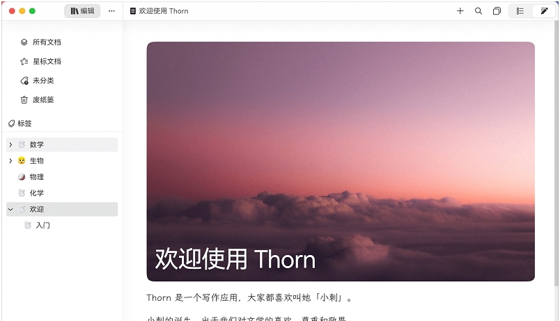 Thorn写作 v0.1.44