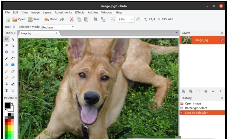 Pinta绘图工具 v1.7.8