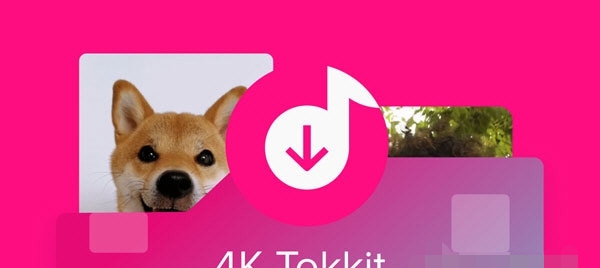 4K Tokkit(Tokkit视频下载神器) V1.0.5
