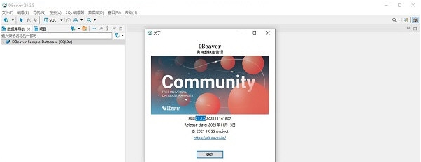 Dbeaver v21.2.11