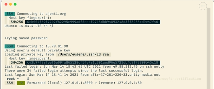 Tabby(SSH/SFTP客户端) v1.0.169