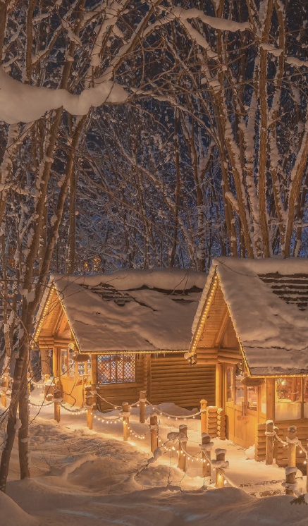 一眼心动的冬日壁纸素材 v1.10