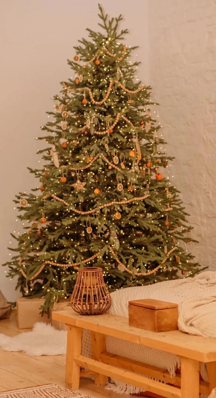 圣诞节高清手机壁纸素材 v1.8