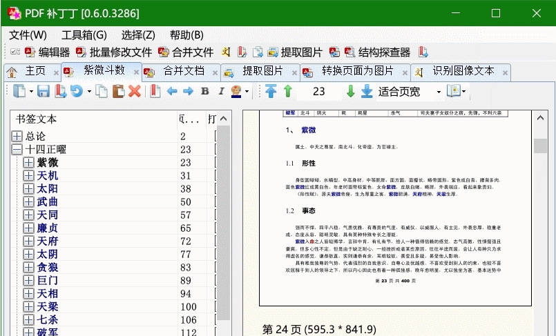 PDF 补丁丁开源版 v0.6.2.3698