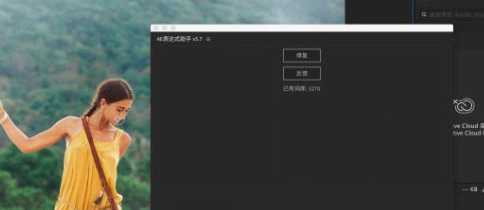 AE表达式助手 v5.13