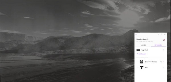 Logi Tune(罗技视频会议软件) v2.206.110