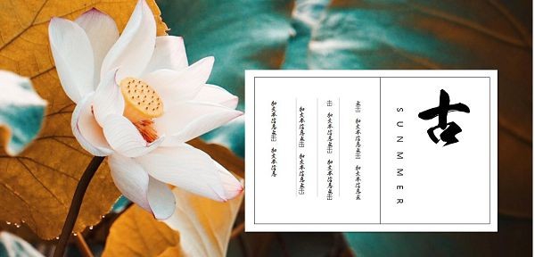 古韵荷花背景PPT模板 v2.94