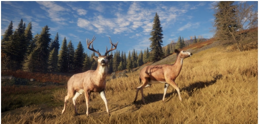 猎人荒野的呼唤三十四项修改器 v2022.02.16