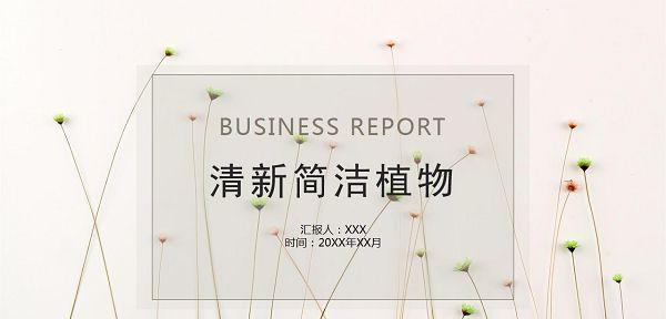 清新简洁小花植物背景PPT模板 v2.26