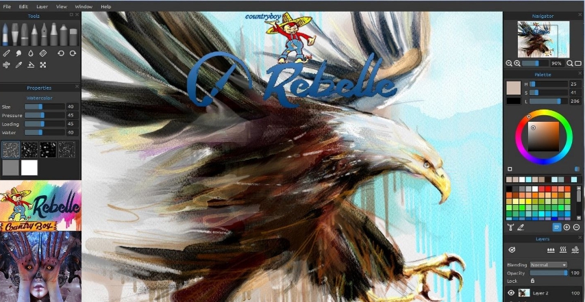 rebelle 5 pro(3D绘画) v9