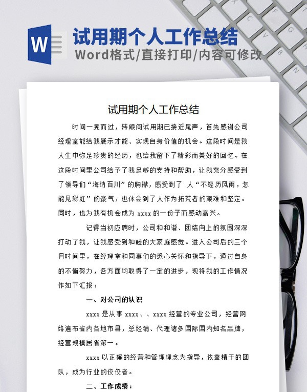 试用期个人工作总结范本 v2.33
