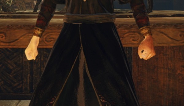 艾尔登法环血之王袍MOD v1.14