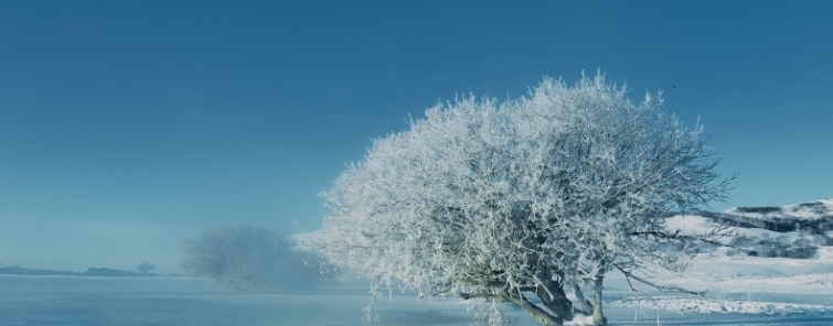 24节气壁纸全套高清 v1.82